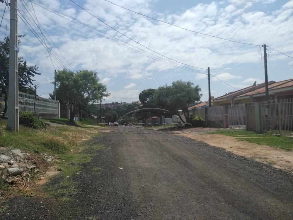 Comprar Terreno / Padrão em Ponta Grossa apenas R$ 120.000,00 - Foto 5 Comprar Terreno / Padrão em Ponta Grossa apenas R$ 120.000,00 - Foto 5