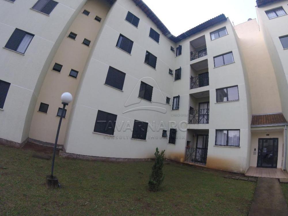 Alugar Apartamento / Padrão em Ponta Grossa apenas R$ 700,00 - Foto 2 Alugar Apartamento / Padrão em Ponta Grossa apenas R$ 700,00 - Foto 2