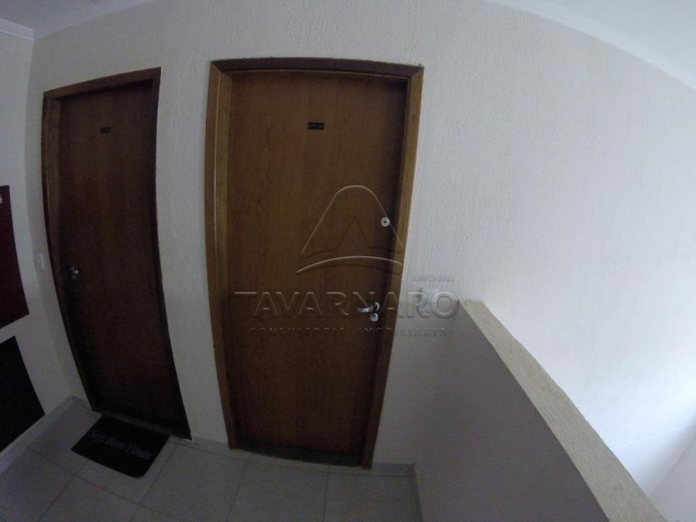 Alugar Apartamento / Padrão em Ponta Grossa apenas R$ 700,00 - Foto 3 Alugar Apartamento / Padrão em Ponta Grossa apenas R$ 700,00 - Foto 3