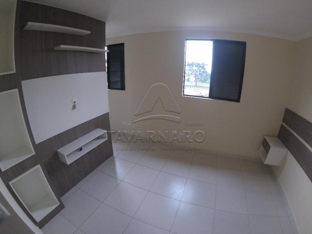 Alugar Apartamento / Padrão em Ponta Grossa apenas R$ 700,00 - Foto 6 Alugar Apartamento / Padrão em Ponta Grossa apenas R$ 700,00 - Foto 6
