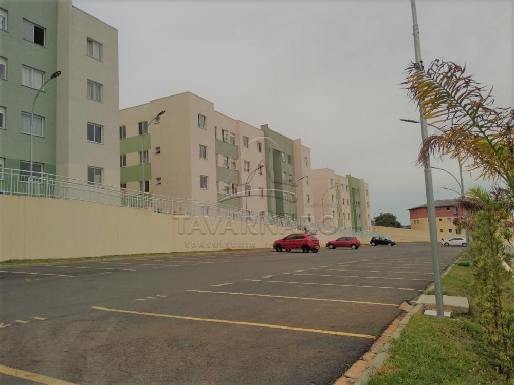 Alugar Apartamento / Padrão em Ponta Grossa apenas R$ 550,00 - Foto 3 Alugar Apartamento / Padrão em Ponta Grossa apenas R$ 550,00 - Foto 3