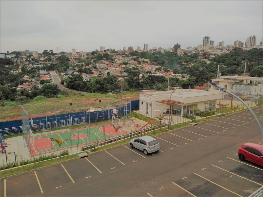 Alugar Apartamento / Padrão em Ponta Grossa apenas R$ 550,00 - Foto 6 Alugar Apartamento / Padrão em Ponta Grossa apenas R$ 550,00 - Foto 6