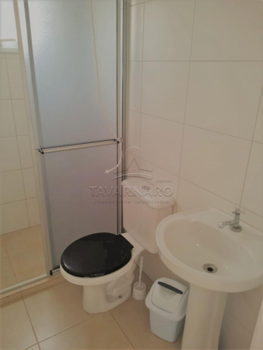 Alugar Apartamento / Padrão em Ponta Grossa apenas R$ 550,00 - Foto 12 Alugar Apartamento / Padrão em Ponta Grossa apenas R$ 550,00 - Foto 12