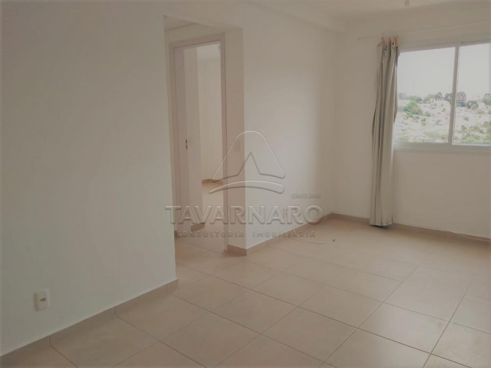 Alugar Apartamento / Padrão em Ponta Grossa apenas R$ 550,00 - Foto 14 Alugar Apartamento / Padrão em Ponta Grossa apenas R$ 550,00 - Foto 14