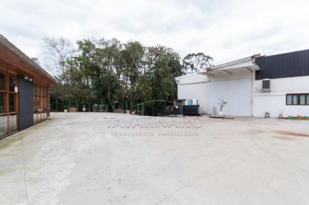 Alugar Comercial / Prédio em Ponta Grossa apenas R$ 18.000,00 - Foto 46 Alugar Comercial / Prédio em Ponta Grossa apenas R$ 18.000,00 - Foto 46