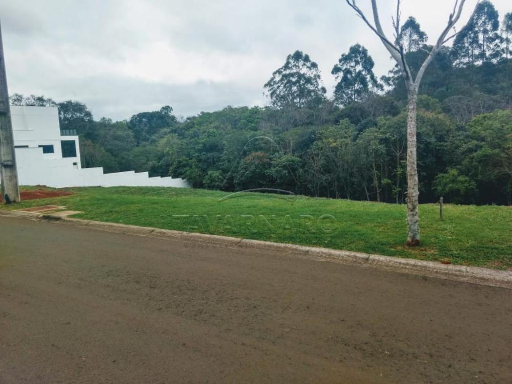 Comprar Terreno / Condomínio em Ponta Grossa apenas R$ 342.000,00 - Foto 1 Comprar Terreno / Condomínio em Ponta Grossa apenas R$ 342.000,00 - Foto 1
