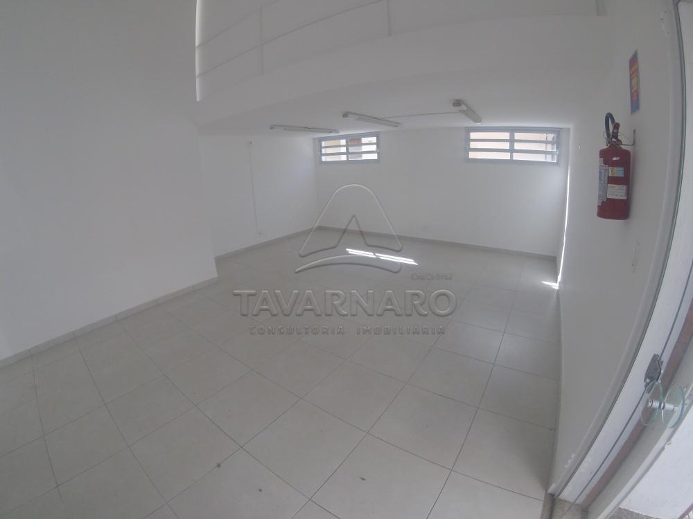 Alugar Comercial / Loja em Ponta Grossa apenas R$ 1.800,00 - Foto 5 Alugar Comercial / Loja em Ponta Grossa apenas R$ 1.800,00 - Foto 5