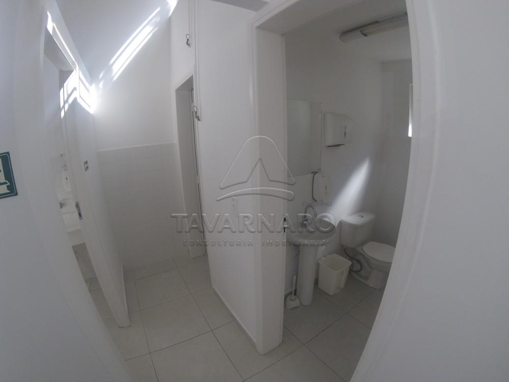 Alugar Comercial / Loja em Ponta Grossa apenas R$ 1.800,00 - Foto 10 Alugar Comercial / Loja em Ponta Grossa apenas R$ 1.800,00 - Foto 10