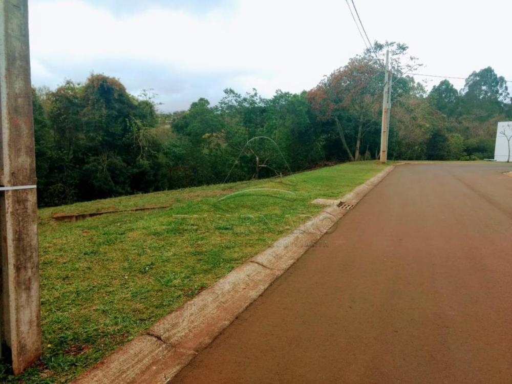 Comprar Terreno / Condomínio em Ponta Grossa apenas R$ 278.000,00 - Foto 1 Comprar Terreno / Condomínio em Ponta Grossa apenas R$ 278.000,00 - Foto 1