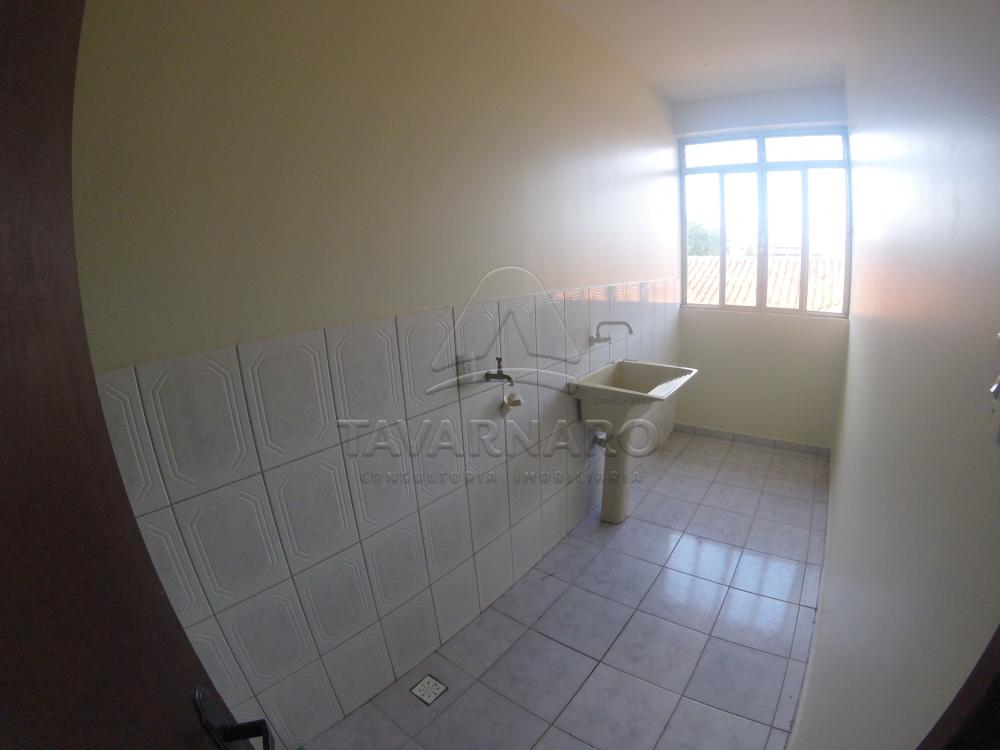 Alugar Casa / Sobrado em Ponta Grossa apenas R$ 1.300,00 - Foto 13 Alugar Casa / Sobrado em Ponta Grossa apenas R$ 1.300,00 - Foto 13