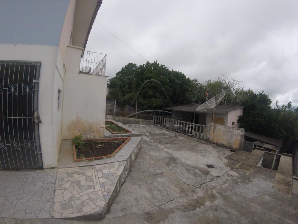 Alugar Casa / Padrão em Ponta Grossa apenas R$ 1.100,00 - Foto 13 Alugar Casa / Padrão em Ponta Grossa apenas R$ 1.100,00 - Foto 13