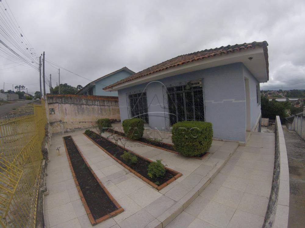 Alugar Casa / Padrão em Ponta Grossa apenas R$ 1.100,00 - Foto 1 Alugar Casa / Padrão em Ponta Grossa apenas R$ 1.100,00 - Foto 1