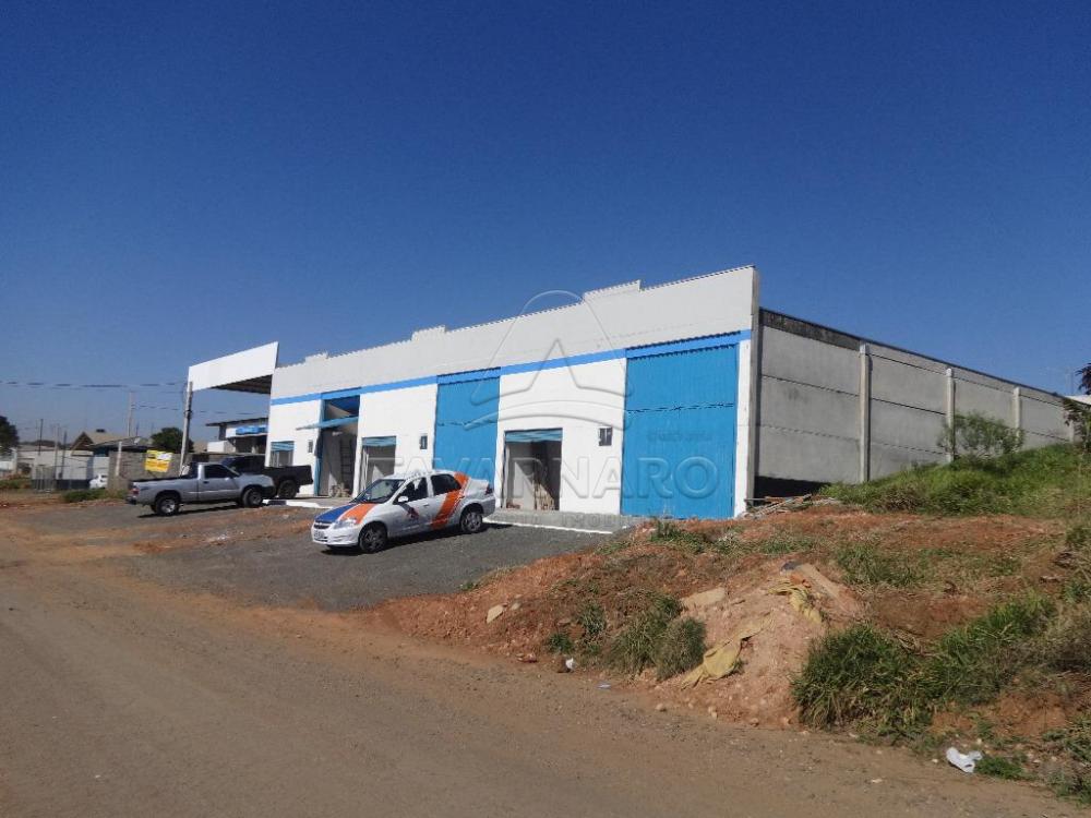 Alugar Comercial / Barracão em Ponta Grossa apenas R$ 1.950,00 - Foto 1 Alugar Comercial / Barracão em Ponta Grossa apenas R$ 1.950,00 - Foto 1