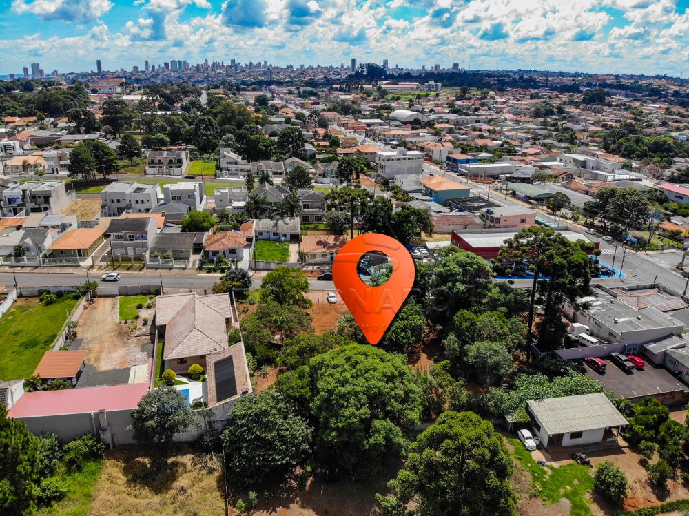 Comprar Comercial / Terreno em Ponta Grossa apenas R$ 1.200.000,00 - Foto 7 Comprar Comercial / Terreno em Ponta Grossa apenas R$ 1.200.000,00 - Foto 7