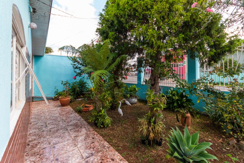 Comprar Casa / Padrão em Ponta Grossa apenas R$ 300.000,00 - Foto 3 Comprar Casa / Padrão em Ponta Grossa apenas R$ 300.000,00 - Foto 3