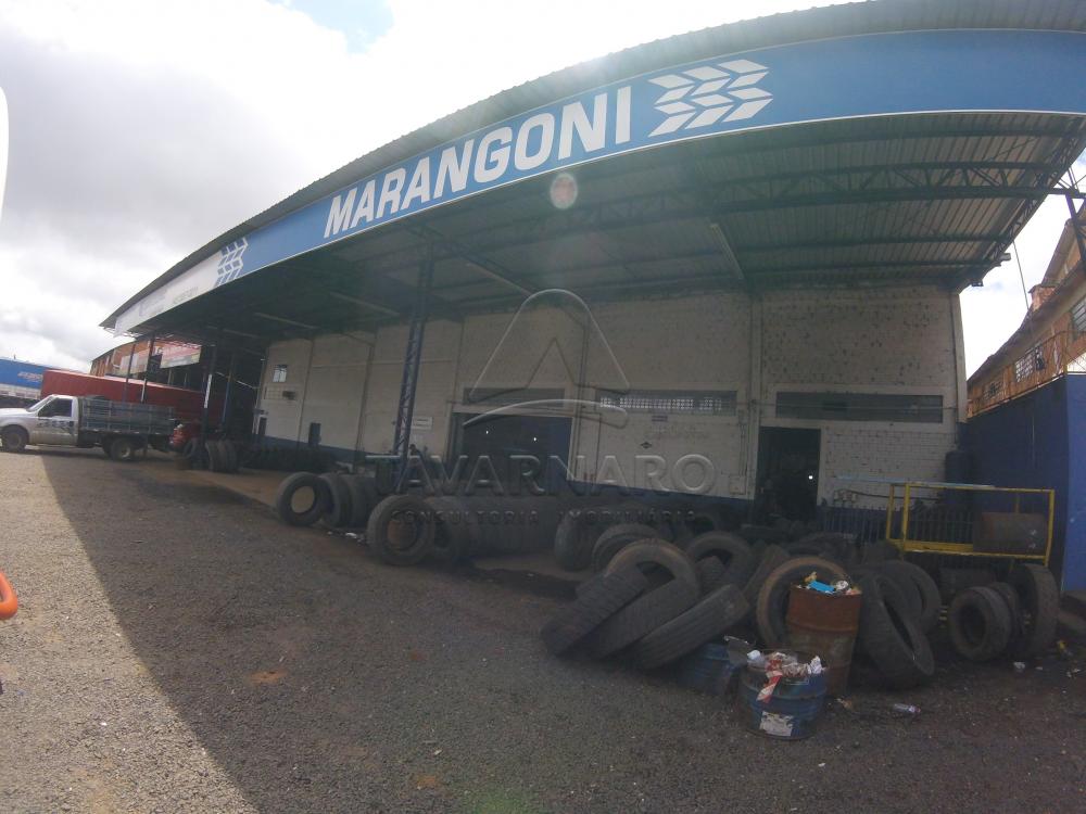 Alugar Comercial / Barracão em Ponta Grossa R$ 9.500,00 - Foto 1 Alugar Comercial / Barracão em Ponta Grossa R$ 9.500,00 - Foto 1
