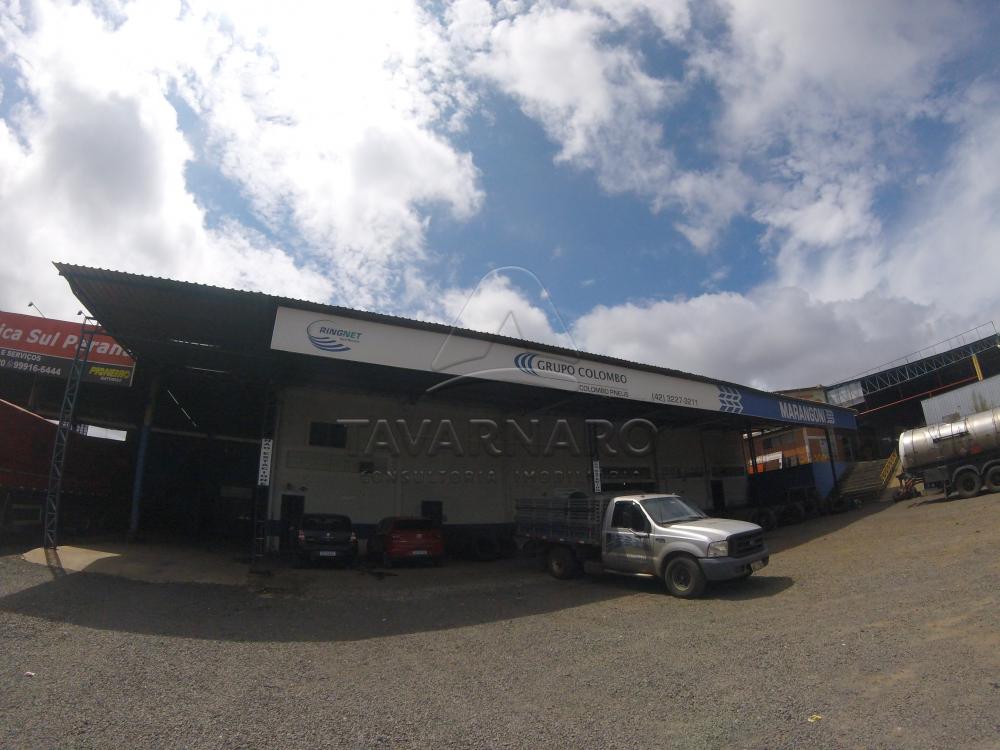Alugar Comercial / Barracão em Ponta Grossa R$ 9.500,00 - Foto 5 Alugar Comercial / Barracão em Ponta Grossa R$ 9.500,00 - Foto 5
