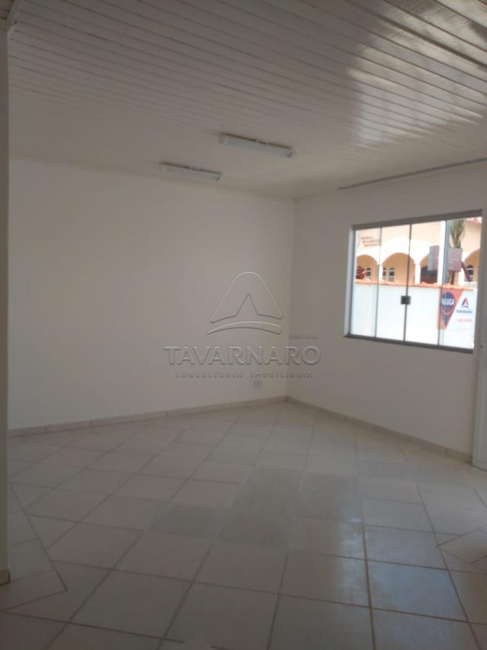Alugar Casa / Comercial em Carambeí apenas R$ 1.700,00 - Foto 10 Alugar Casa / Comercial em Carambeí apenas R$ 1.700,00 - Foto 10