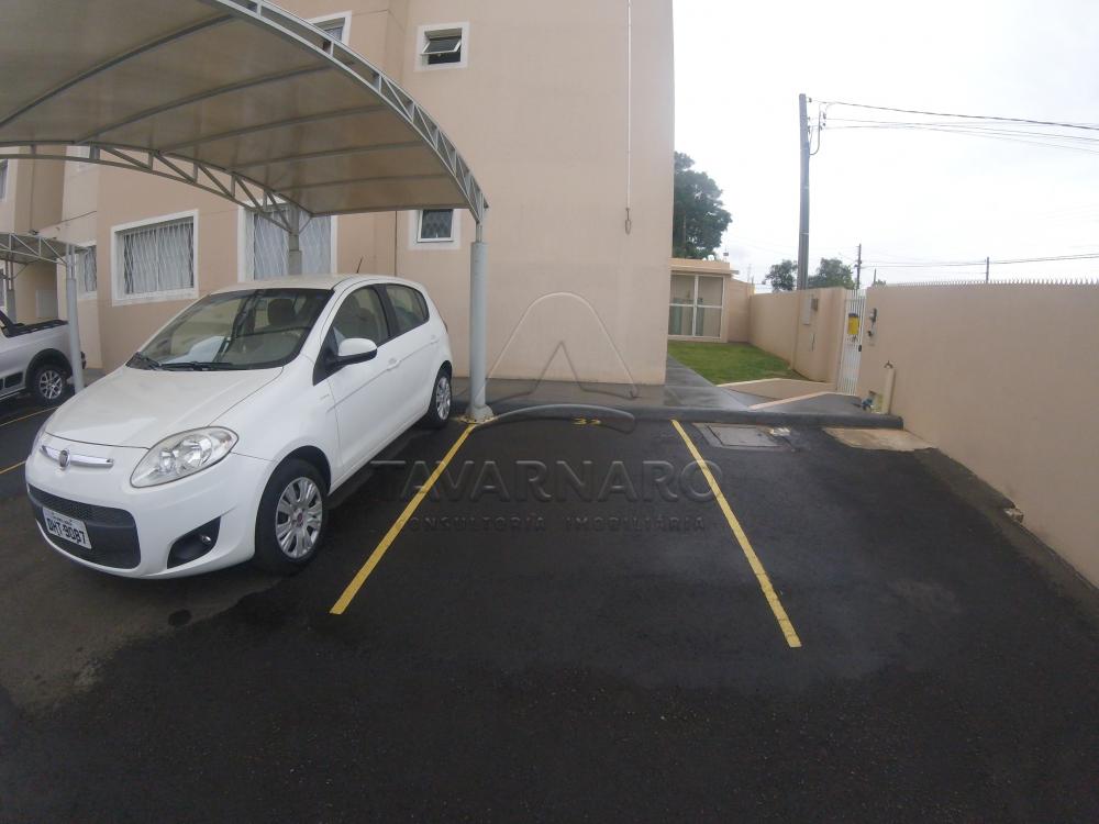 Alugar Apartamento / Padrão em Ponta Grossa apenas R$ 600,00 - Foto 10 Alugar Apartamento / Padrão em Ponta Grossa apenas R$ 600,00 - Foto 10