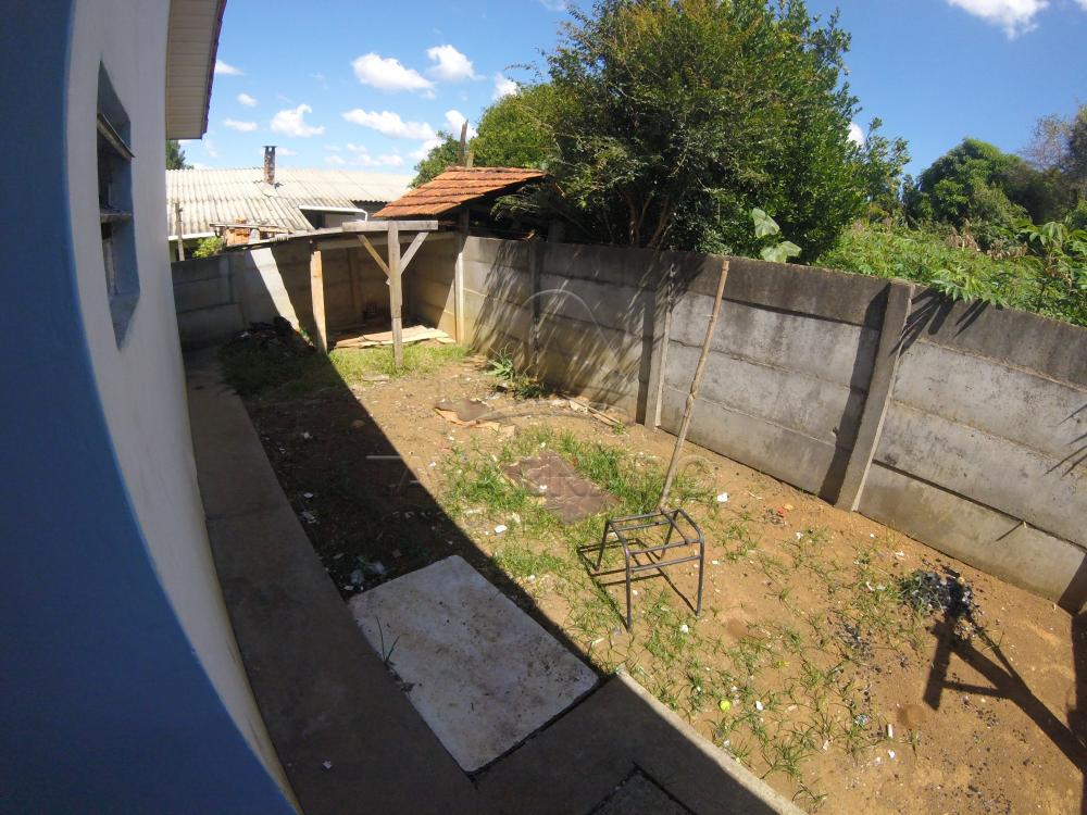 Alugar Casa / Padrão em Ponta Grossa apenas R$ 450,00 - Foto 8 Alugar Casa / Padrão em Ponta Grossa apenas R$ 450,00 - Foto 8