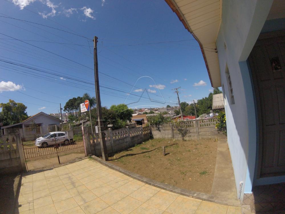 Alugar Casa / Padrão em Ponta Grossa apenas R$ 450,00 - Foto 9 Alugar Casa / Padrão em Ponta Grossa apenas R$ 450,00 - Foto 9
