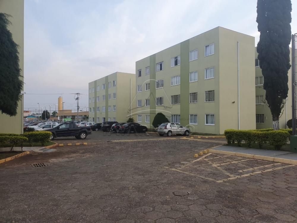 Alugar Apartamento / Padrão em Ponta Grossa R$ 500,00 - Foto 15 Alugar Apartamento / Padrão em Ponta Grossa R$ 500,00 - Foto 15