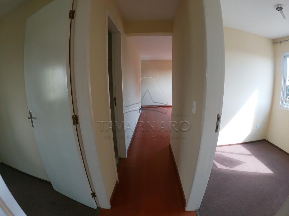 Alugar Apartamento / Padrão em Ponta Grossa R$ 500,00 - Foto 12 Alugar Apartamento / Padrão em Ponta Grossa R$ 500,00 - Foto 12