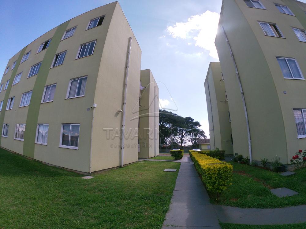 Alugar Apartamento / Padrão em Ponta Grossa R$ 500,00 - Foto 3 Alugar Apartamento / Padrão em Ponta Grossa R$ 500,00 - Foto 3