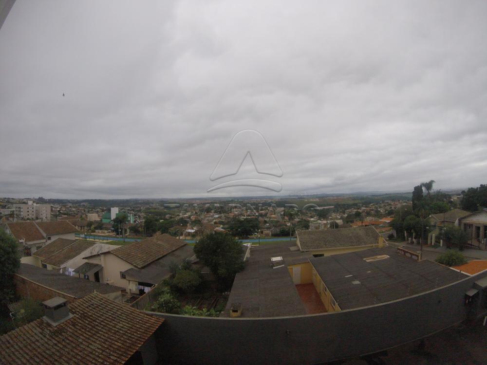 Alugar Apartamento / Padrão em Ponta Grossa apenas R$ 1.300,00 - Foto 14 Alugar Apartamento / Padrão em Ponta Grossa apenas R$ 1.300,00 - Foto 14
