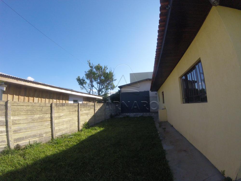 Alugar Apartamento / Comercial / Residencial em Ponta Grossa apenas R$ 1.500,00 - Foto 11 Alugar Apartamento / Comercial / Residencial em Ponta Grossa apenas R$ 1.500,00 - Foto 11