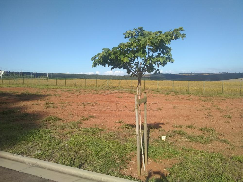 Comprar Terreno / Condomínio em Ponta Grossa R$ 300.000,00 - Foto 3