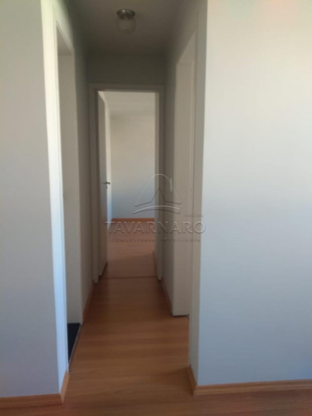 Alugar Apartamento / Padrão em Ponta Grossa apenas R$ 700,00 - Foto 5 Alugar Apartamento / Padrão em Ponta Grossa apenas R$ 700,00 - Foto 5
