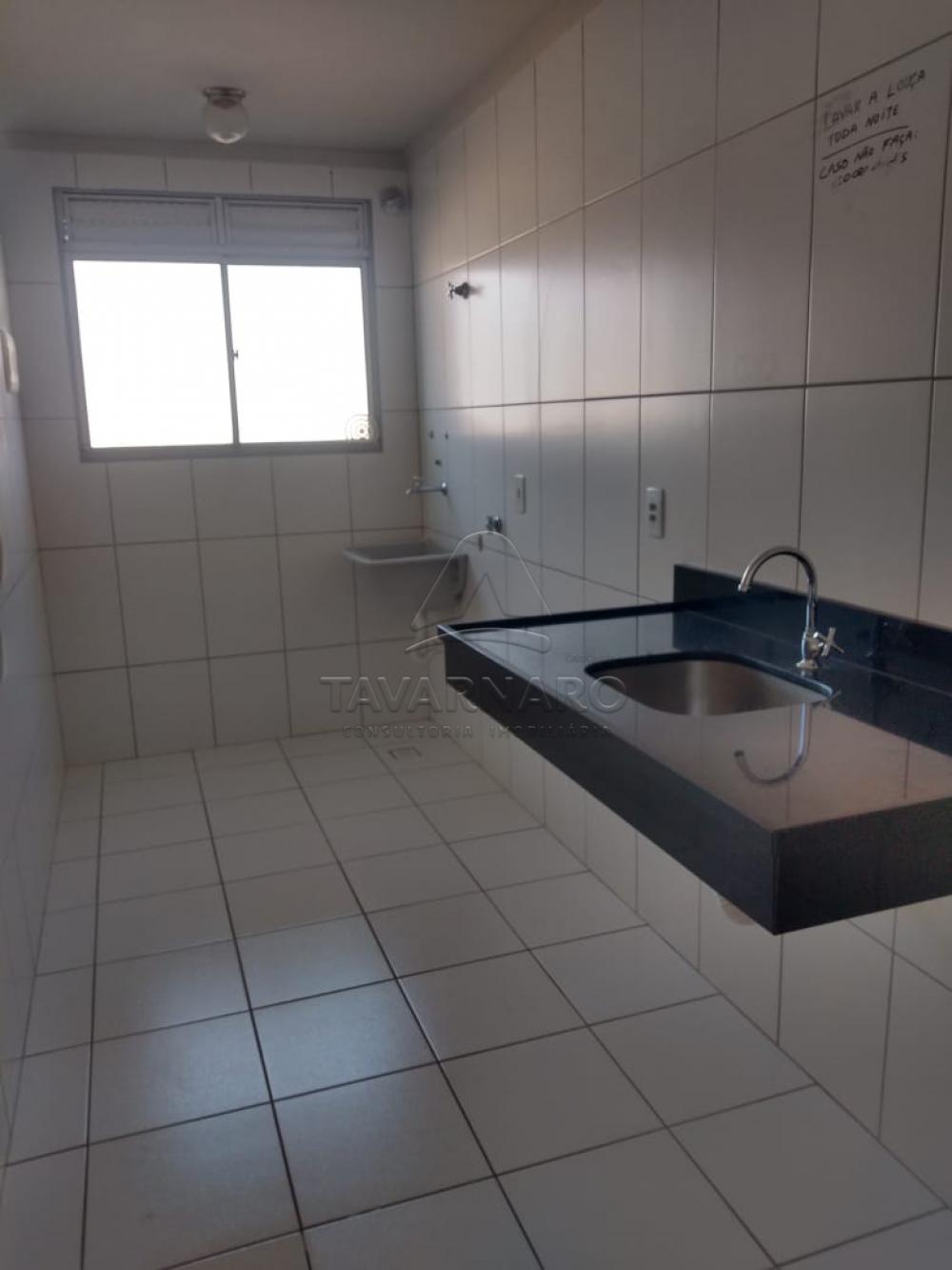 Alugar Apartamento / Padrão em Ponta Grossa apenas R$ 700,00 - Foto 2 Alugar Apartamento / Padrão em Ponta Grossa apenas R$ 700,00 - Foto 2