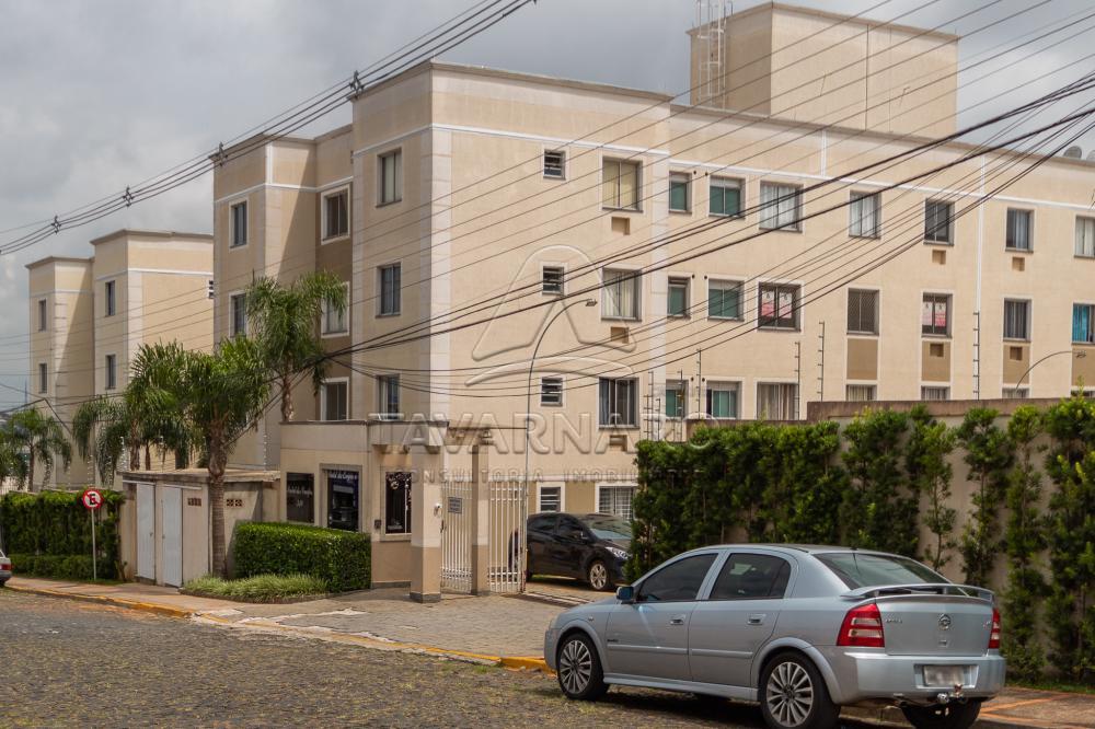 Alugar Apartamento / Padrão em Ponta Grossa apenas R$ 700,00 - Foto 11 Alugar Apartamento / Padrão em Ponta Grossa apenas R$ 700,00 - Foto 11