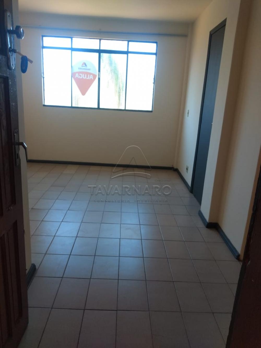 Alugar Apartamento / Kitinete em Ponta Grossa apenas R$ 330,00 - Foto 1 Alugar Apartamento / Kitinete em Ponta Grossa apenas R$ 330,00 - Foto 1