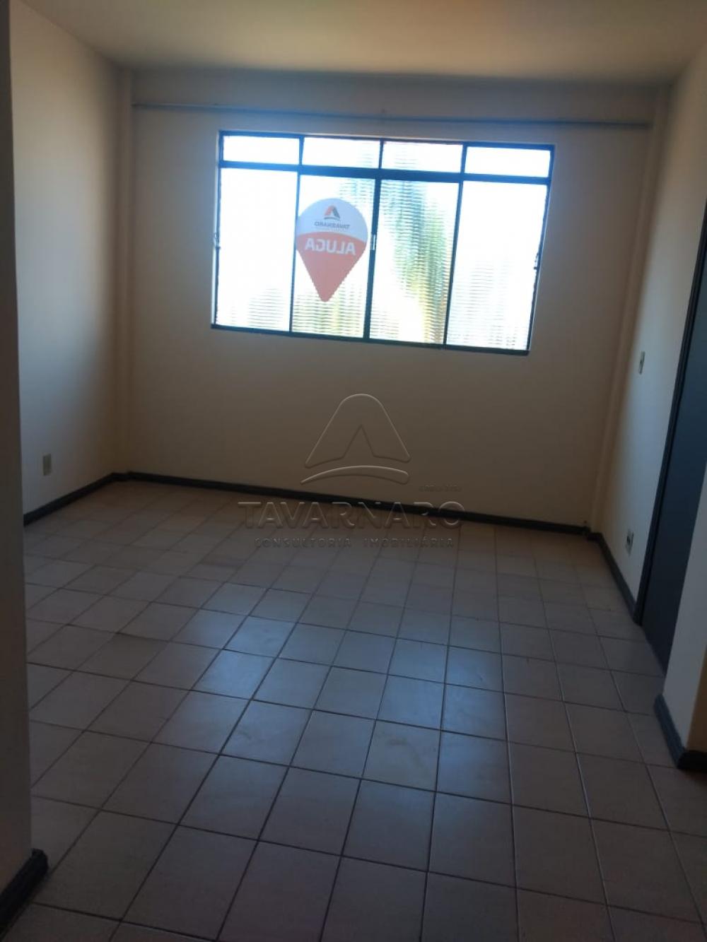 Alugar Apartamento / Kitinete em Ponta Grossa apenas R$ 330,00 - Foto 2 Alugar Apartamento / Kitinete em Ponta Grossa apenas R$ 330,00 - Foto 2