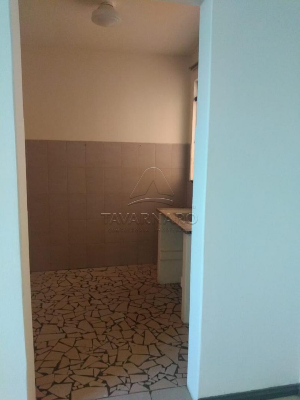 Alugar Apartamento / Kitinete em Ponta Grossa apenas R$ 330,00 - Foto 5 Alugar Apartamento / Kitinete em Ponta Grossa apenas R$ 330,00 - Foto 5