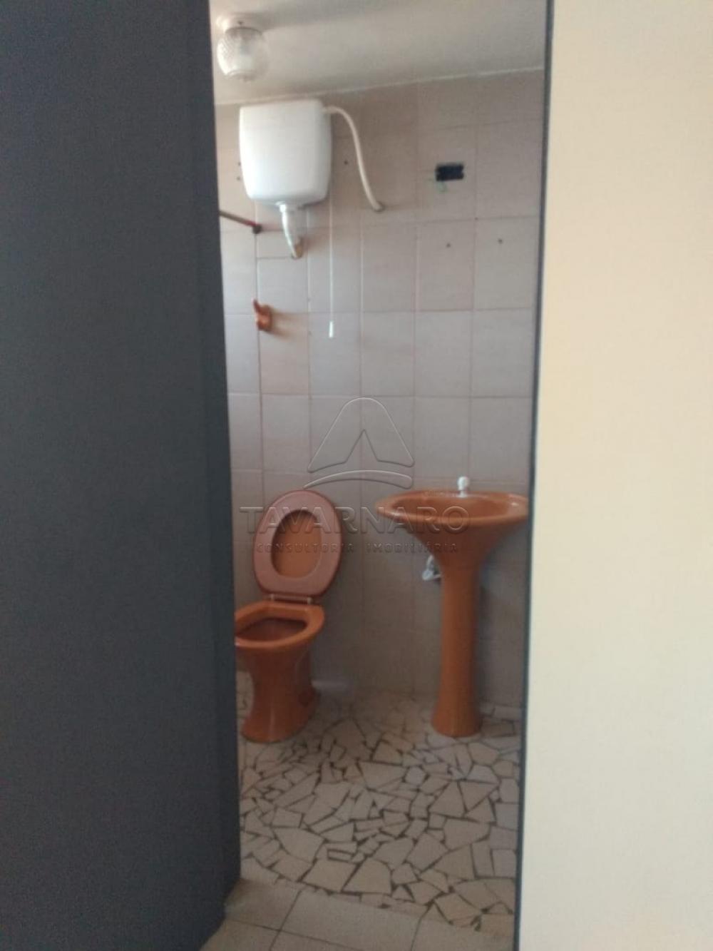Alugar Apartamento / Kitinete em Ponta Grossa apenas R$ 330,00 - Foto 4 Alugar Apartamento / Kitinete em Ponta Grossa apenas R$ 330,00 - Foto 4