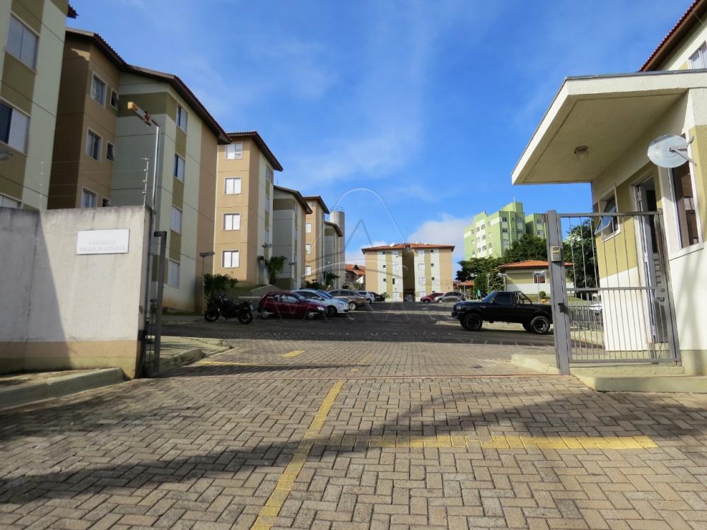 Alugar Apartamento / Padrão em Ponta Grossa R$ 600,00 - Foto 1 Alugar Apartamento / Padrão em Ponta Grossa R$ 600,00 - Foto 1