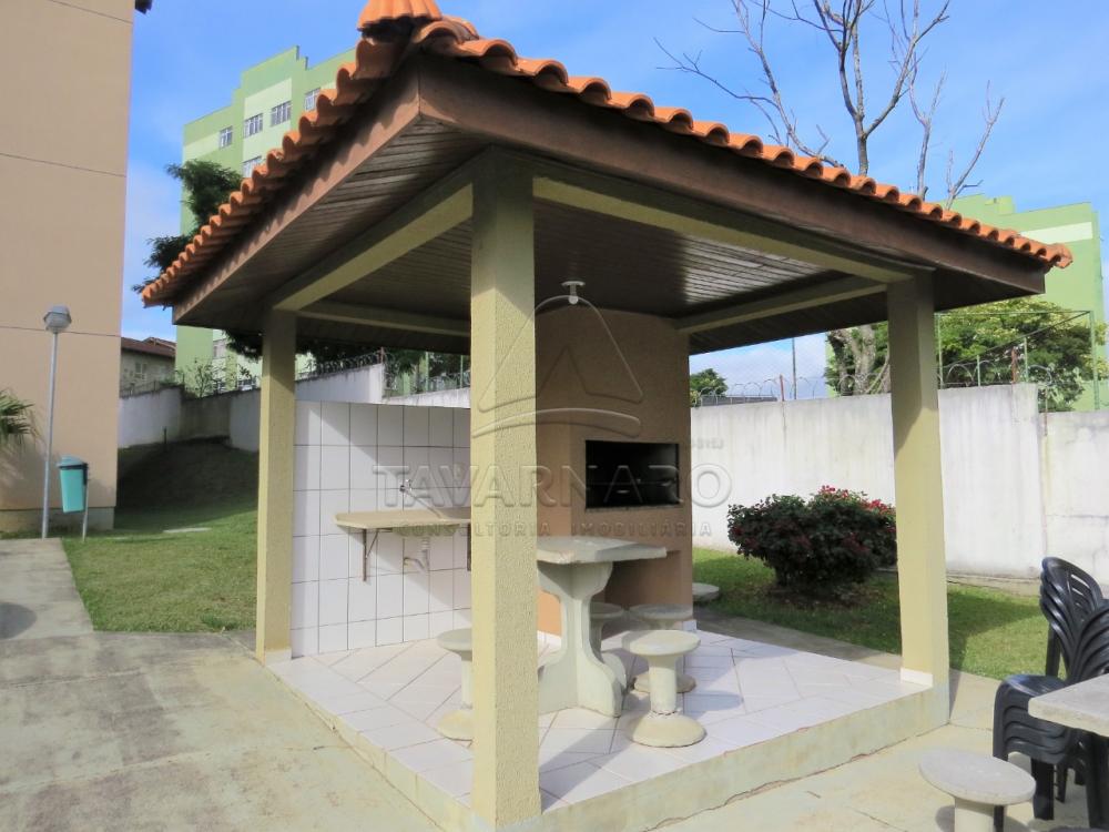 Alugar Apartamento / Padrão em Ponta Grossa R$ 600,00 - Foto 6 Alugar Apartamento / Padrão em Ponta Grossa R$ 600,00 - Foto 6