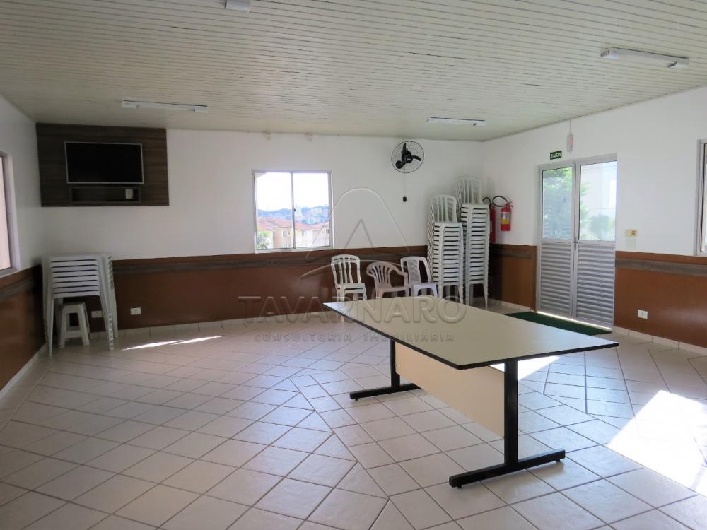 Alugar Apartamento / Padrão em Ponta Grossa R$ 600,00 - Foto 8 Alugar Apartamento / Padrão em Ponta Grossa R$ 600,00 - Foto 8