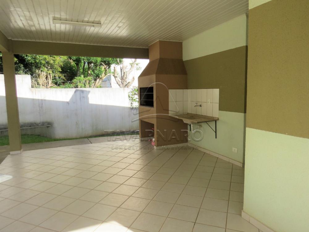 Alugar Apartamento / Padrão em Ponta Grossa R$ 600,00 - Foto 11 Alugar Apartamento / Padrão em Ponta Grossa R$ 600,00 - Foto 11