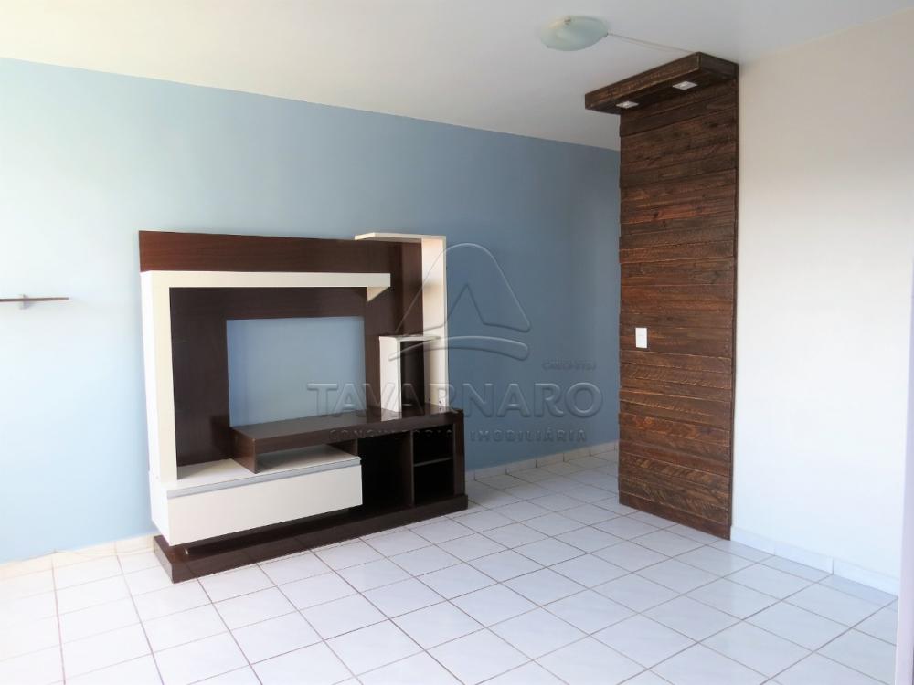Alugar Apartamento / Padrão em Ponta Grossa R$ 600,00 - Foto 14 Alugar Apartamento / Padrão em Ponta Grossa R$ 600,00 - Foto 14