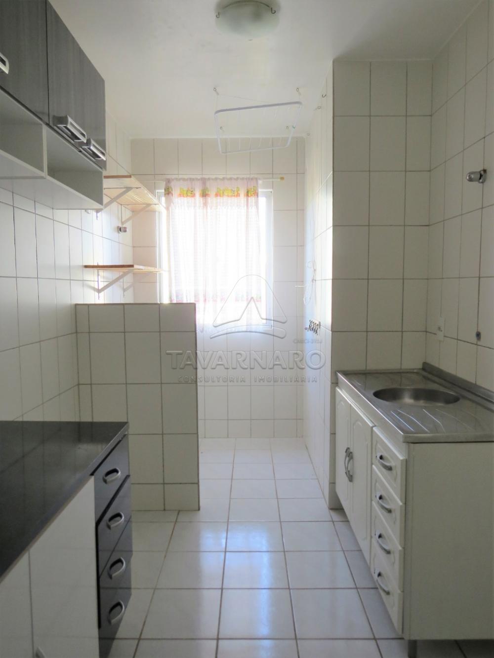 Alugar Apartamento / Padrão em Ponta Grossa R$ 600,00 - Foto 16 Alugar Apartamento / Padrão em Ponta Grossa R$ 600,00 - Foto 16