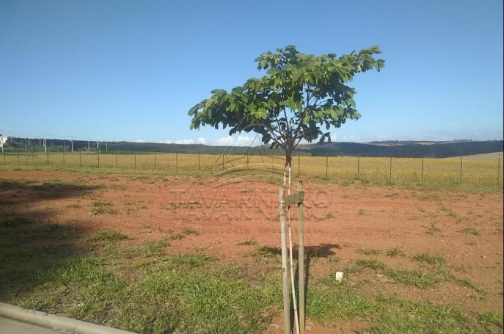 Comprar Terreno / Condomínio em Ponta Grossa apenas R$ 300.000,00 - Foto 2 Comprar Terreno / Condomínio em Ponta Grossa apenas R$ 300.000,00 - Foto 2