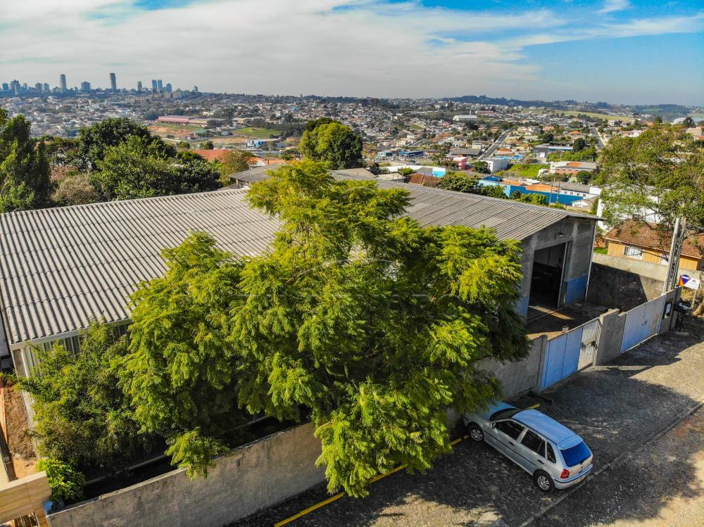 Depósito-Galpão, 427 m² - Foto 3