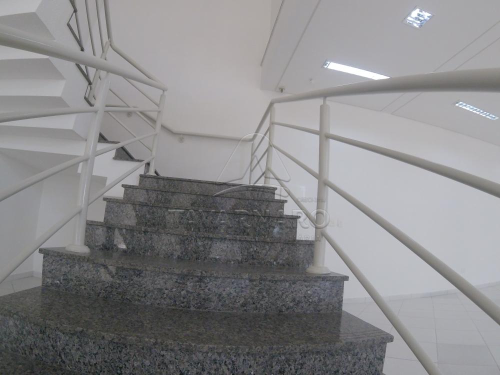Alugar Comercial / Loja em Ponta Grossa R$ 7.500,00 - Foto 11