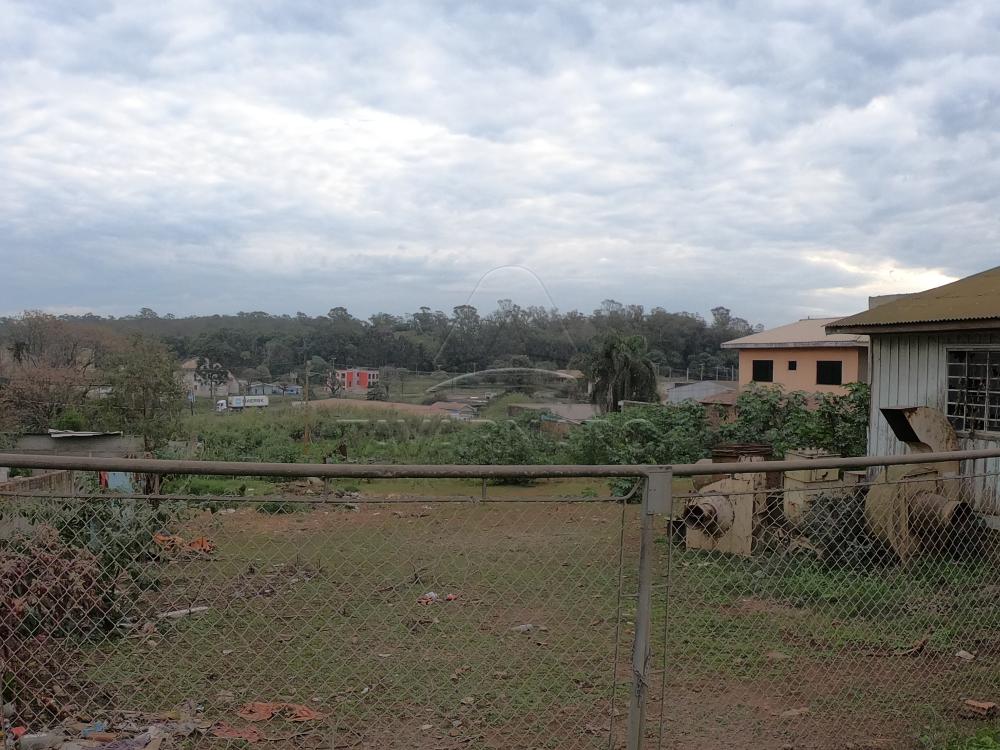 Comprar Comercial / Terreno em Ponta Grossa - Foto 1 Comprar Comercial / Terreno em Ponta Grossa - Foto 1