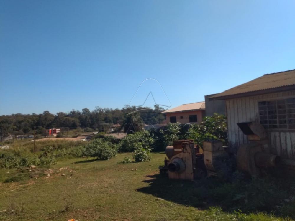 Comprar Comercial / Terreno em Ponta Grossa - Foto 2 Comprar Comercial / Terreno em Ponta Grossa - Foto 2