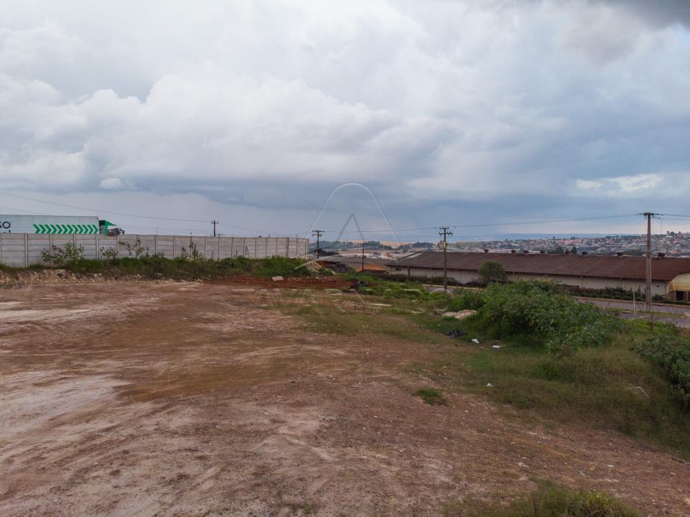 Comprar Terreno / Padrão em Ponta Grossa apenas R$ 900.000,00 - Foto 7 Comprar Terreno / Padrão em Ponta Grossa apenas R$ 900.000,00 - Foto 7